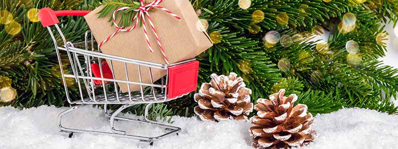 Holiday season shopping cart